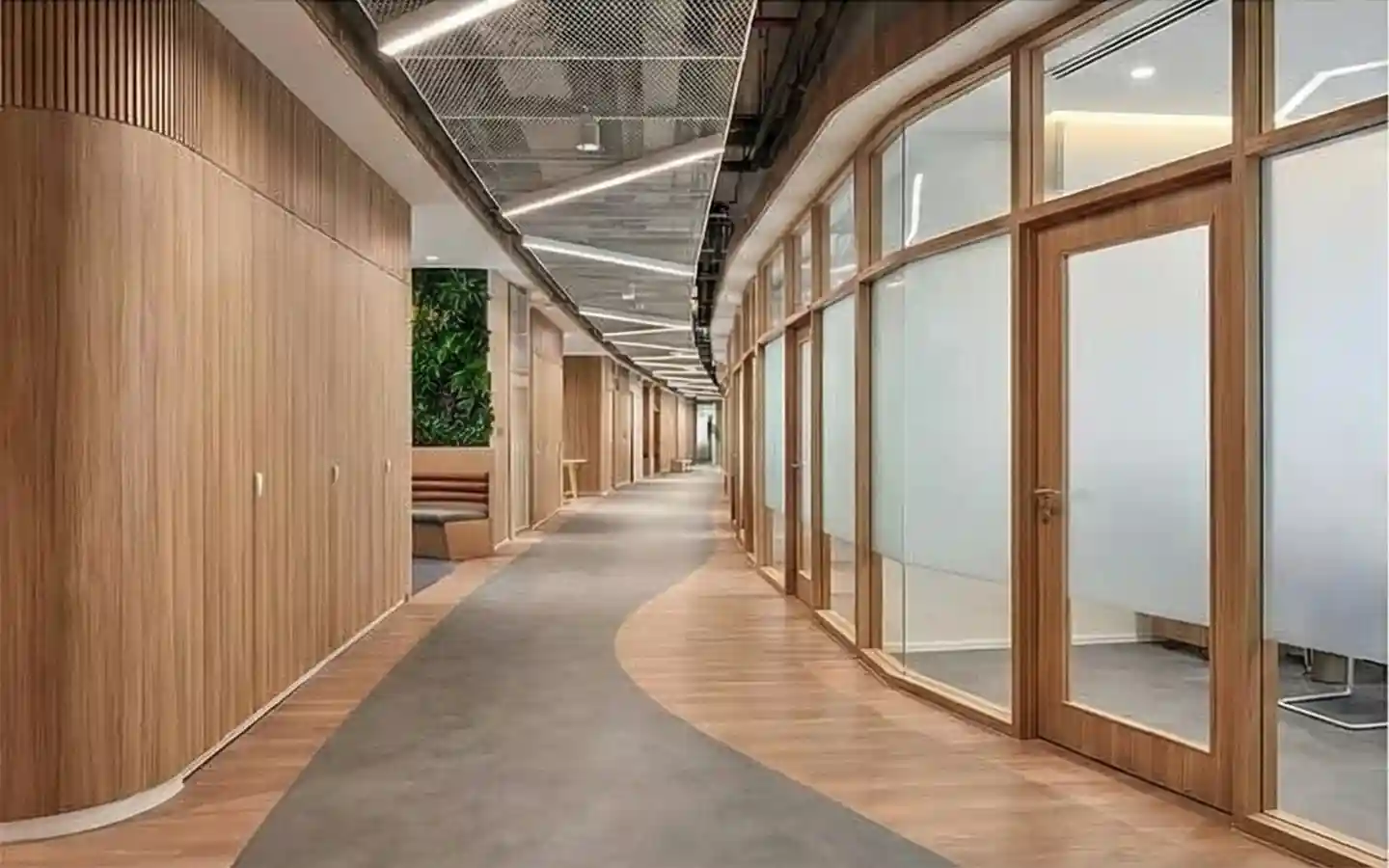 Premium clinic hallway featuring curved wooden wall paneling, glass partitions, and modern industrial ceiling lighting