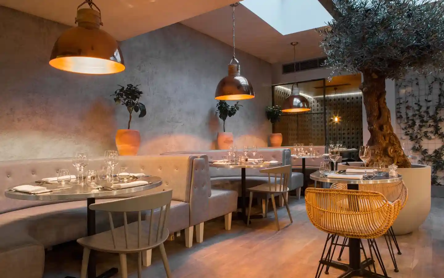 Modern restaurant interior featuring gray tufted booth seating, industrial copper pendant lights, and a decorative indoor olive tree