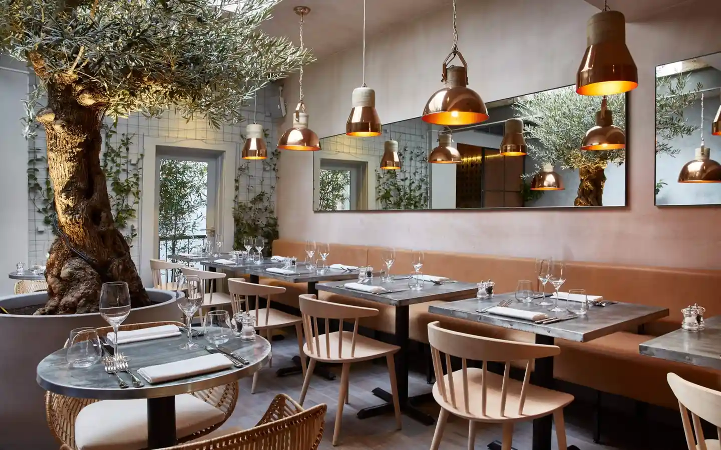 Modern restaurant dining room featuring an indoor olive tree, copper pendant lighting, and tan banquet seating
