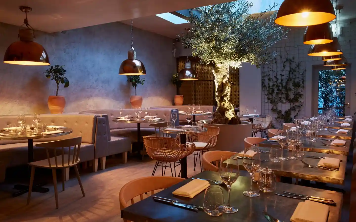 Modern Mediterranean restaurant interior featuring curved velvet booths, olive tree centerpiece, and copper pendant lighting