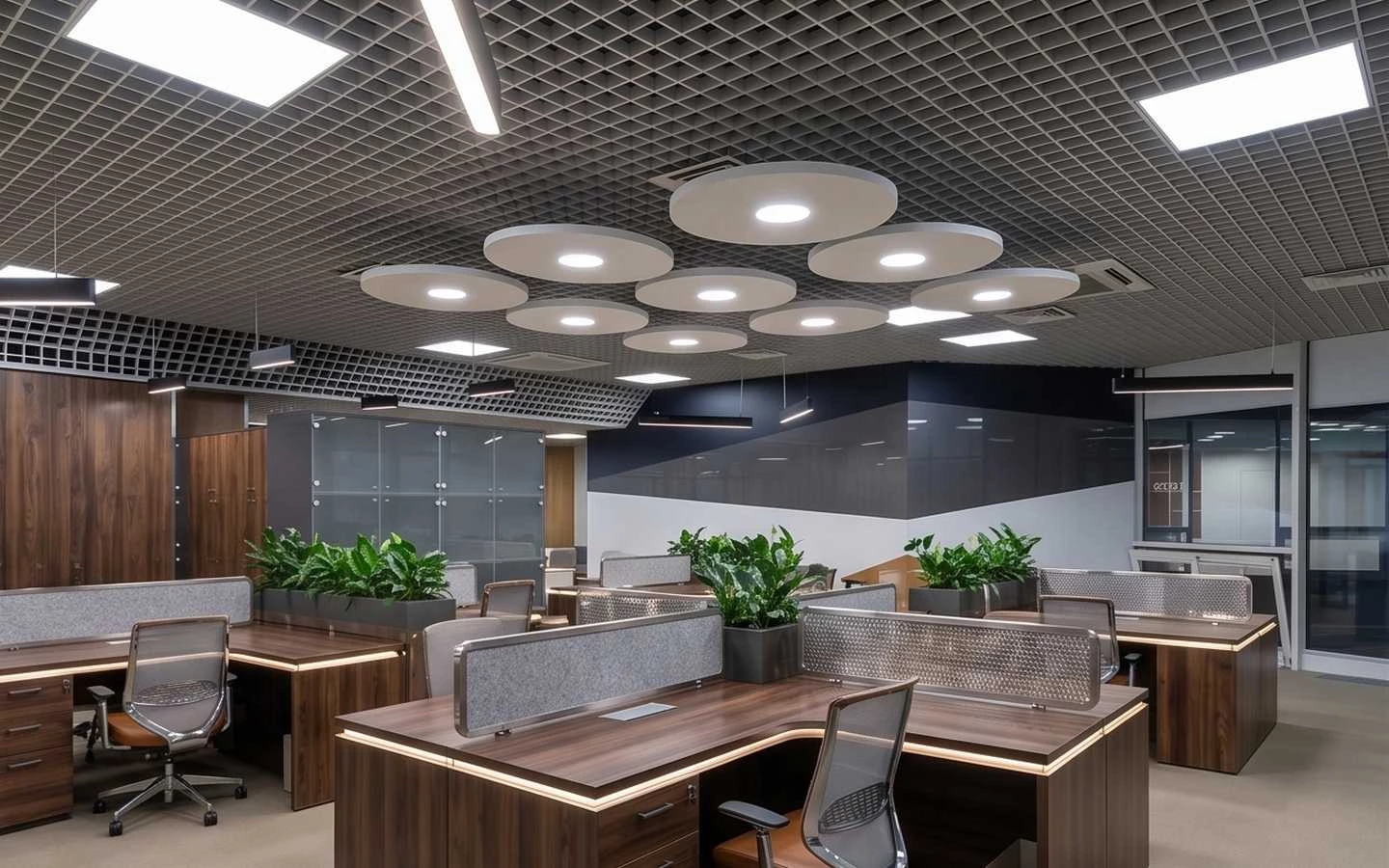 Modern open-plan office interior featuring wooden workstations with privacy screens, ergonomic chairs, indoor plants, and unique circular ceiling lighting